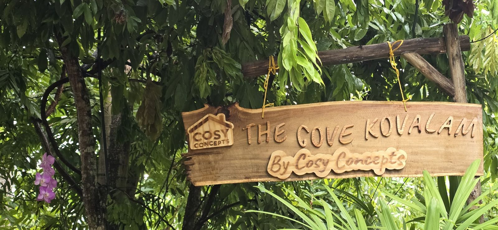 The carved wooden sign for The Cove Kovalam by Cosy Concepts hanging among the leaves